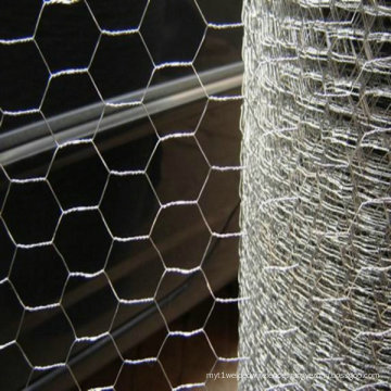 Galvanized Chicken Wire/Hot Dipped Galvanized Chicken Wire